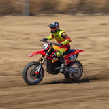 Losi LOS06000T1 Promoto-MX FXR Red Motorcycle 1/4