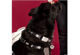 Loungefly Disney Big Hero 6 10th Anniversary Baymax Dog Collar Small