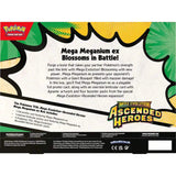 Pokemon Mega Evolution Ascended Heroes Ex Collection 1 Random Box
