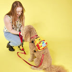 Loungefly Pets Disney  Winnie The Pooh Dog Leash 6 ft Long