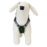 Loungefly Beetlejuice Cosplay Mini Backpack Dog Harness Medium