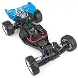 Team Associated 90031 1/10 RB10 RTR Blue Buggy brushless